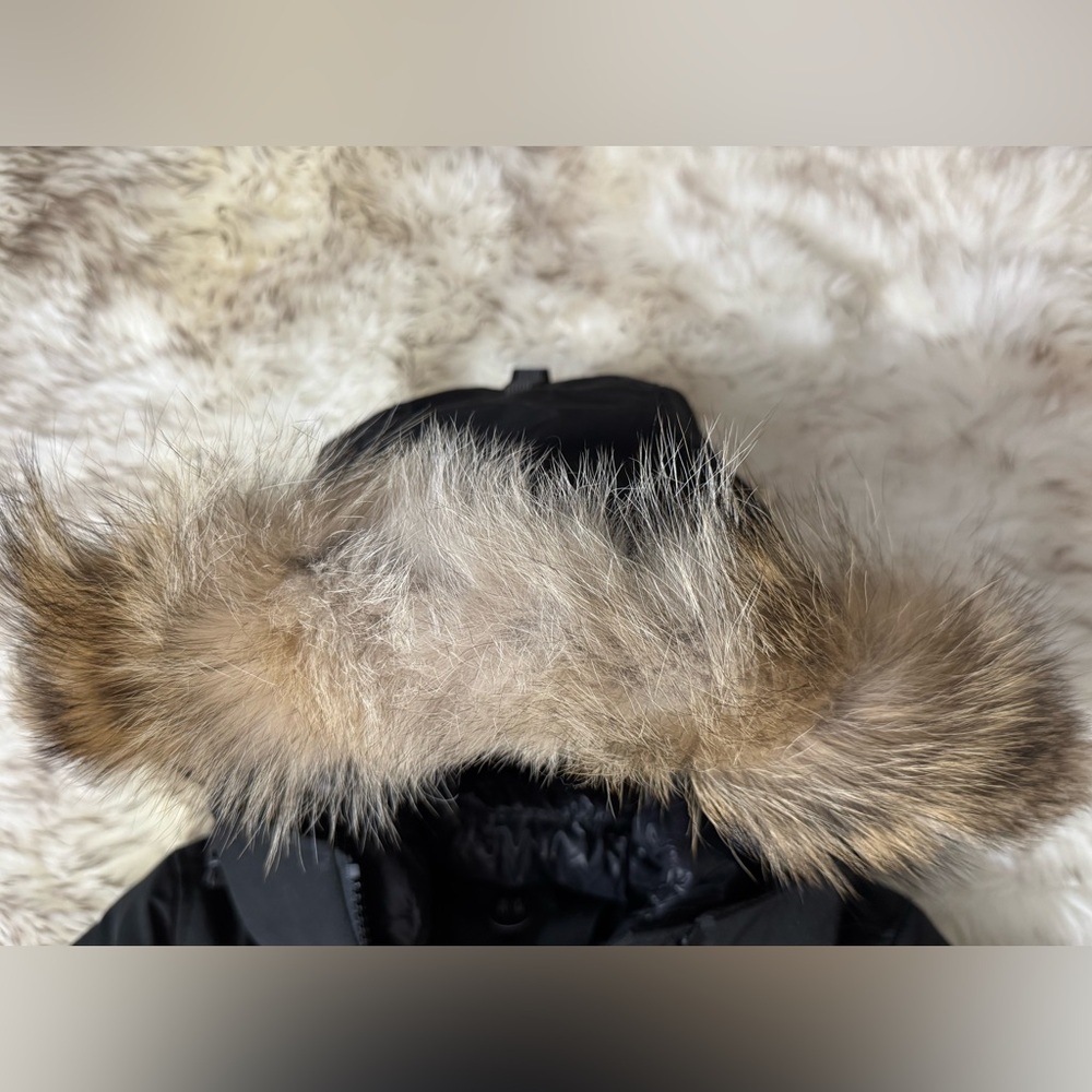 CANADA GOOSE Women Kenton "Black Label" Down Parka 3816LB in Black Size M - Picture 3 of 10